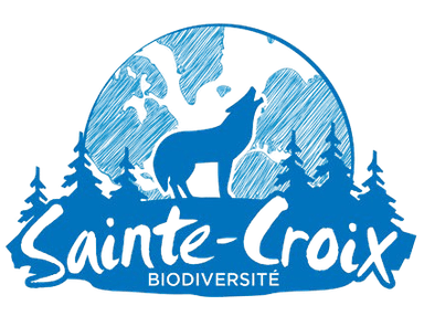 Sainte Croix