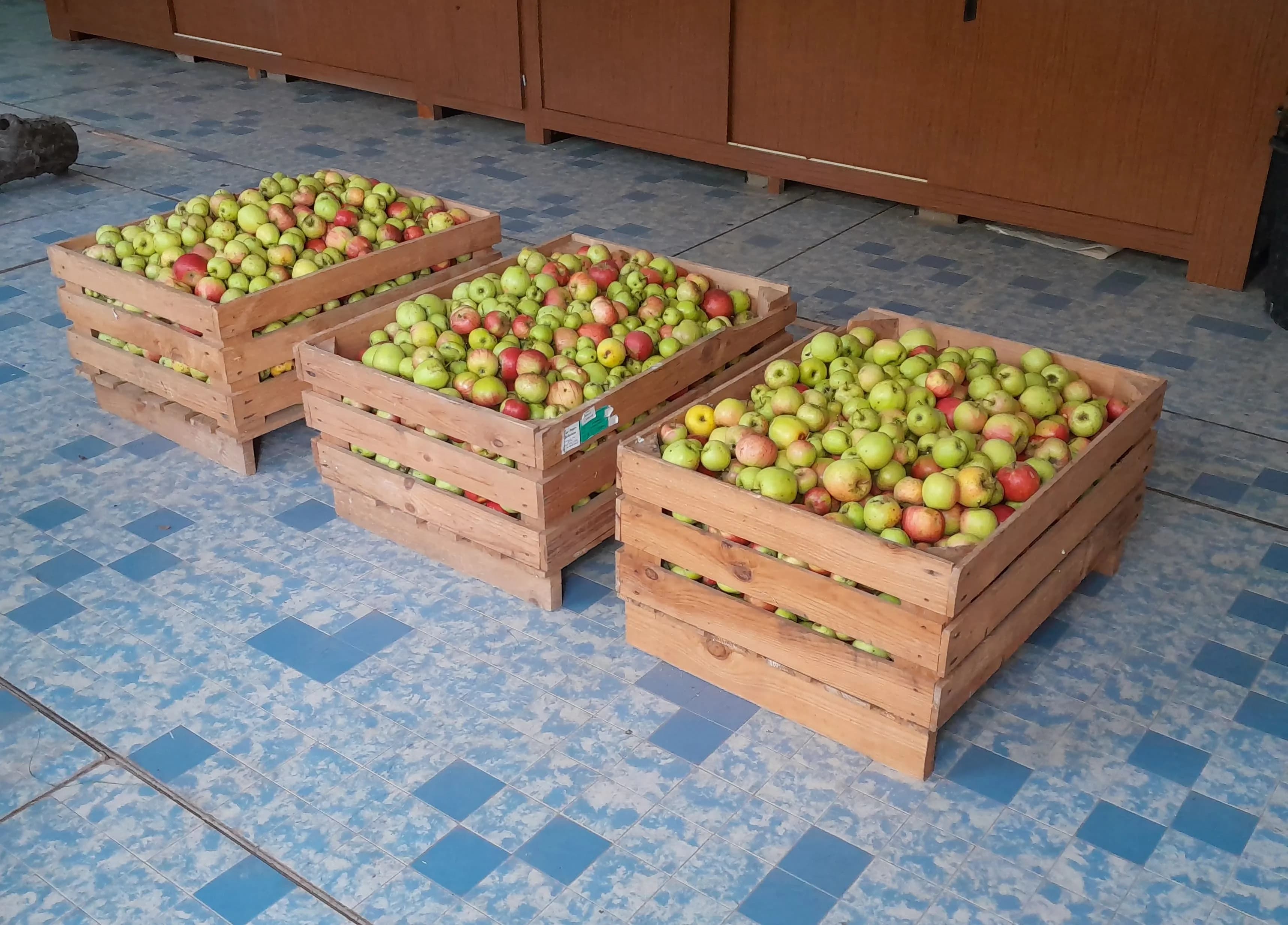 Fruits des vergers traditionnels